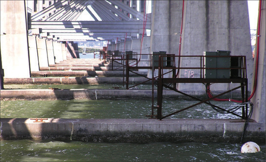 Photo 2. The temporary power for the San Francisco (SFO) Bay Bridge project started with fourteen 500 kV medium voltage transformers (under the existing bridge), and a backup 1 mega-watt diesel generator (expandable to 2.5 MW). The big challenge was cabling underwater from the existing bridge to 14 cofferdams and 14 tower cran