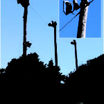 Bonding electrical equipment on poles